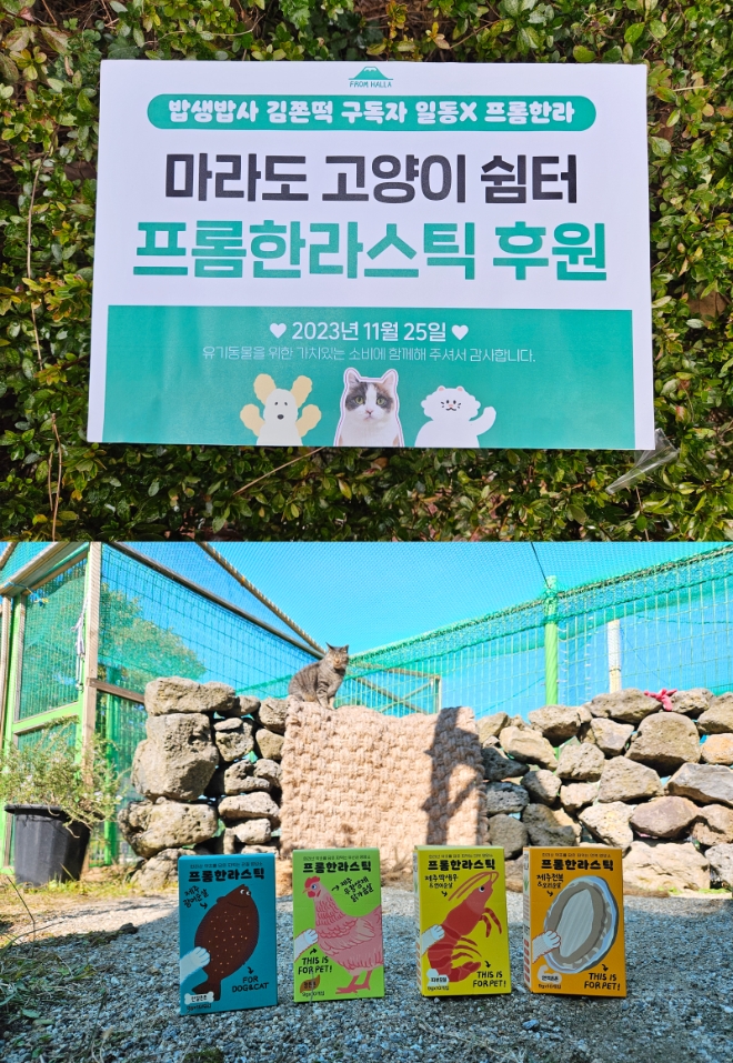 벨아벨팜, 유튜버 김쫀떡 구독자들과 함께 프롬한라스틱 마라도 고양이를 위한 따뜻한 기부