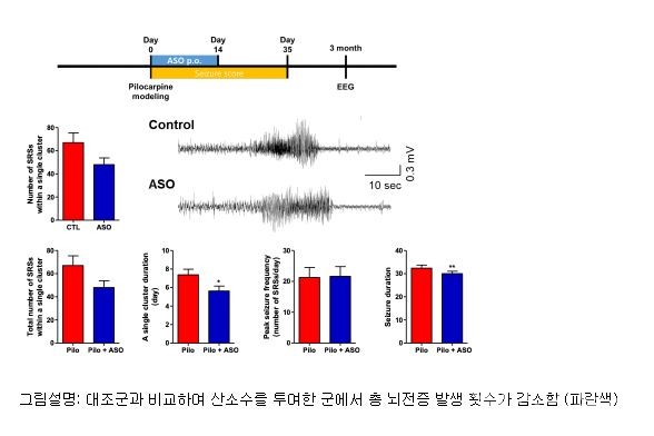 출처:세종충남대송희정교수팀연구논문