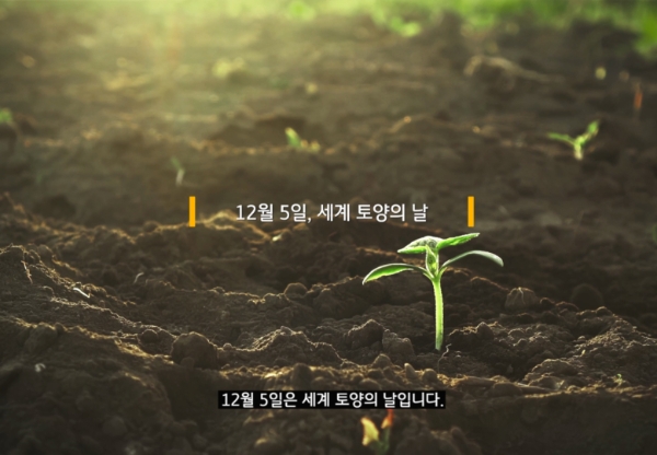 이번 한국어 영상의 주요 장면