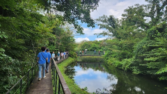 사진=피톤치드 숲트레킹 프로그램