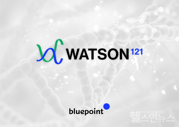 블루포인트제공