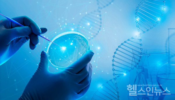 클립아트코리아