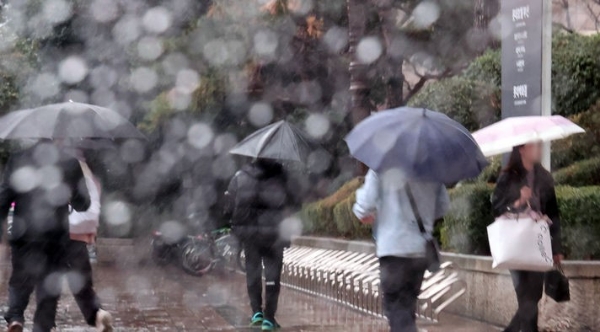 겨울비가 내린 11일 부산 부산진구 롯데백화점 인근 도로에서 시민들이 우산을 쓴 채 걸어가는 모습.