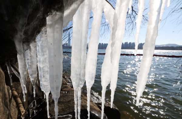 전국 대부분 지역에 한파특보가 발효되며 서울 최저기온이 영하 12도까지 내려간 17일 서울 광진구 뚝섬한강공원 한강변 나뭇가지에 고드름이 얼어 있다.