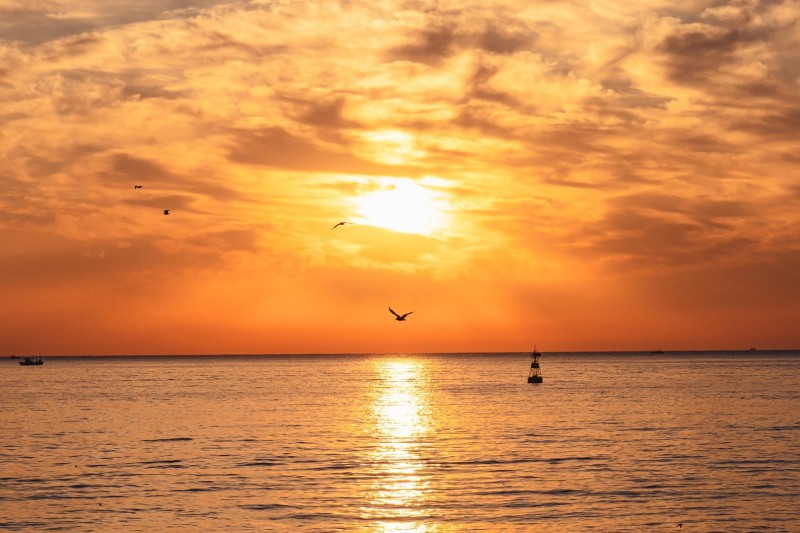 롯데리조트속초, 신년 해돋이 이벤트 ‘미라클 모닝 클럽’ 선봬