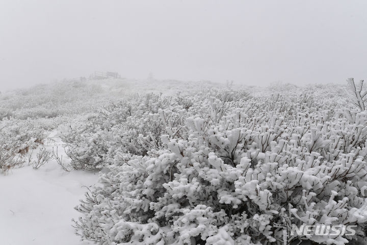크리스마스인 지난 25일 오후 전북 남원시 지리산 바래봉에 많은 눈이 쌓여 장관을 이루고 있다. 