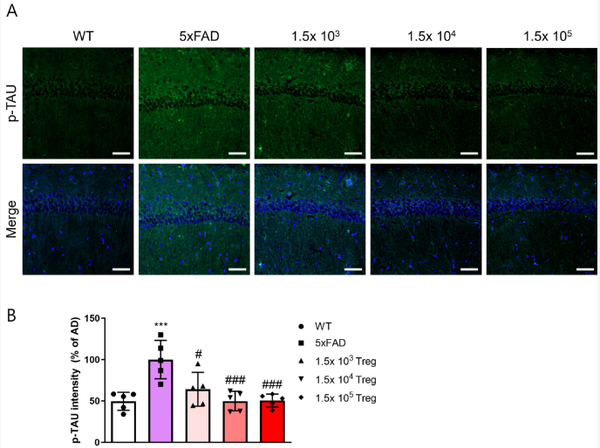 브이티바이오제공