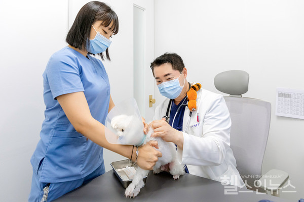 24시독스동물병원백승규수의사