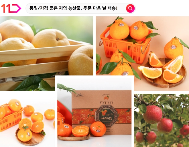 이미지=11번가 제공