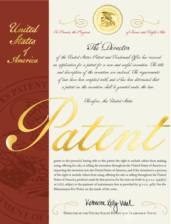 오가노이드사이언스제공