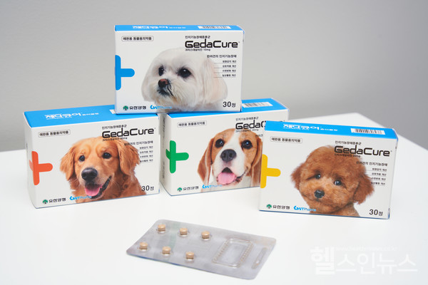 지엔티파마제공