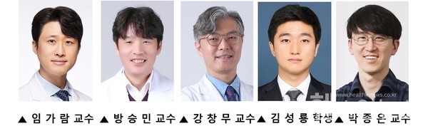 (왼쪽부터)세브란스병원소화기내과임가람‧방승민,간담췌외과강창무교수,김성룡학생,카이스트의과학대학원박종은교수