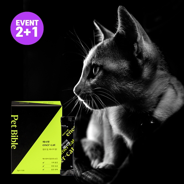 고양이 피로회복제 ‘펫바이블 에너캣’ 네이버 펫윈도 입점