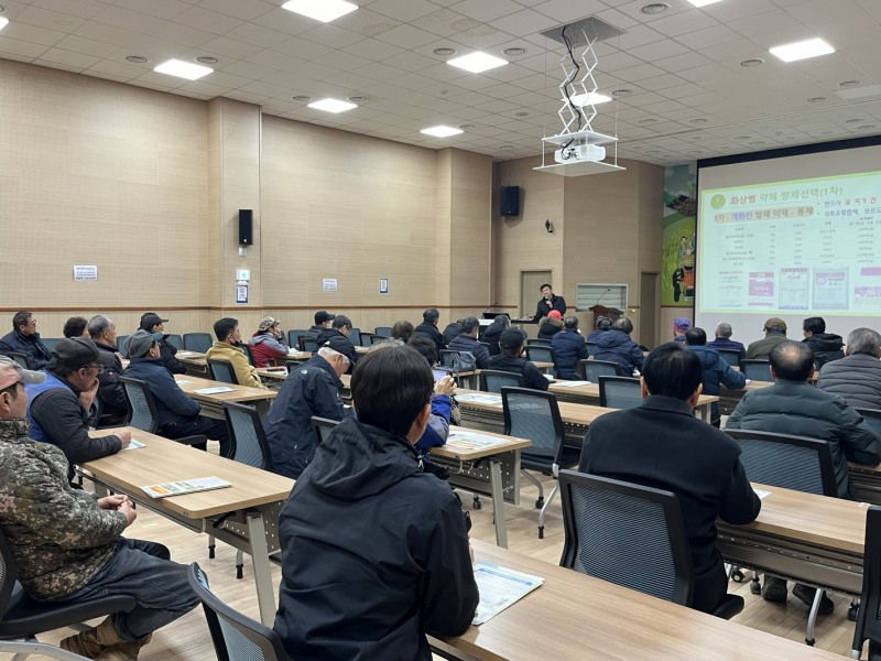 과수화상병 / 사진=군산시 제공