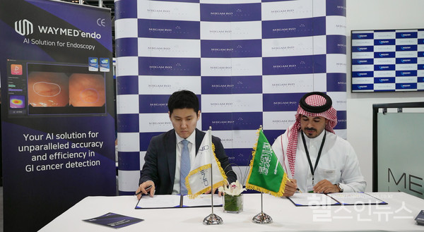 (왼쪽부터)웨이센남기혁책임,메가마인드함자회장(웨이센제공)