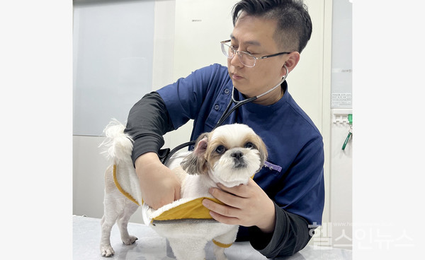 도담동물병원조동준수의사