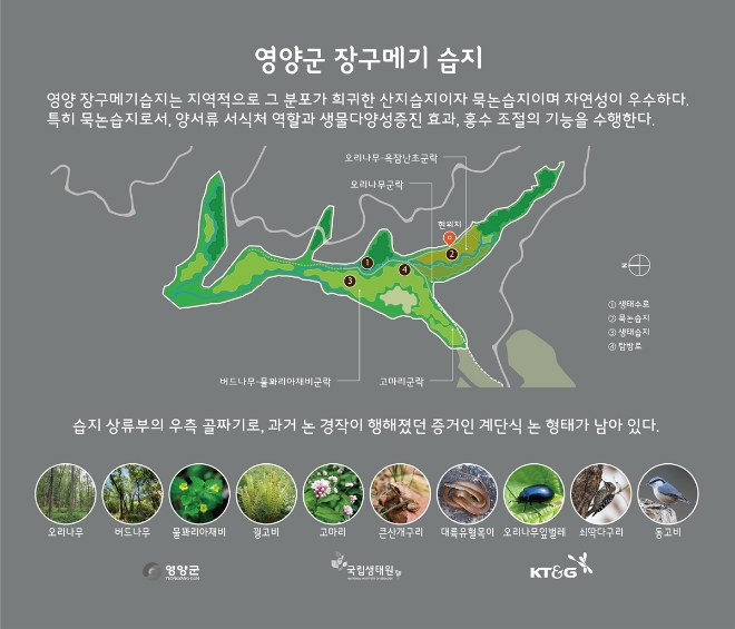 경북 영양군에 위치한 ‘장구메기 습지’의 안내판 / 이미지=KT&G 제공