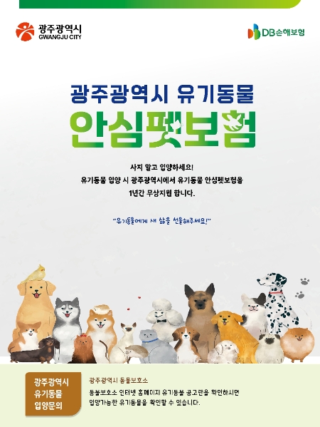 DB손보, 광주 유기동물 안심펫보험 지원사업 최종 사업자 선정