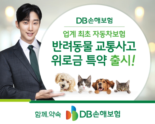 사진=DB손해보험 제공