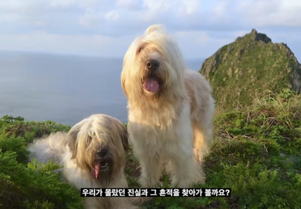 이번 한국어 영상의 주요 장면