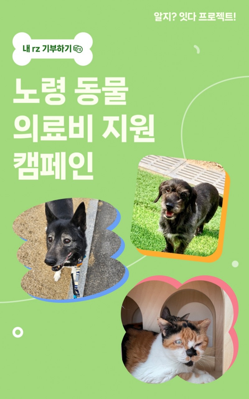 ESG 실천 기부 챌린지 APP '알지?', 이용자와 함께하는 노령 동물 의료비 지원 기부캠페인 전개