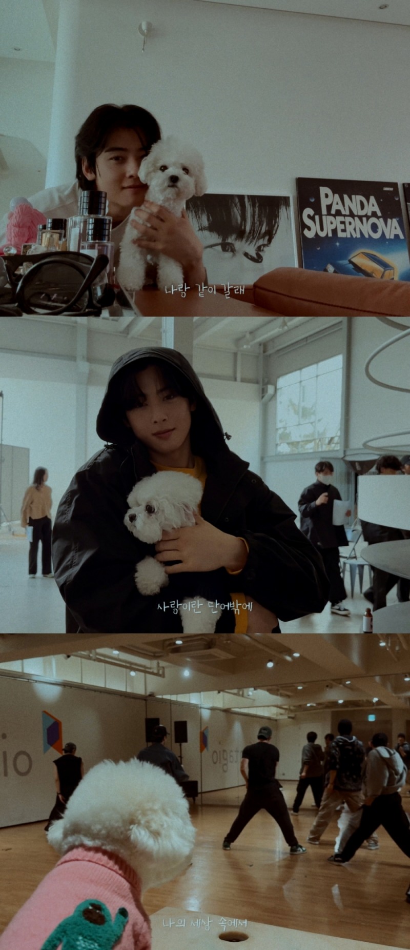 차은우, 신곡 ‘You’re the best’ 뮤직비디오 기습 공개…따뜻한 봄 감성 자극