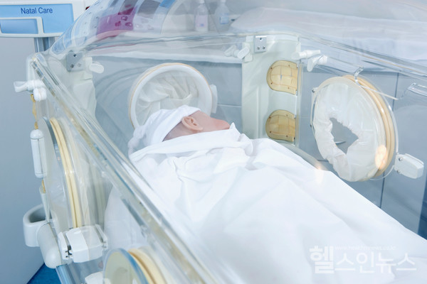 클립아트코리아