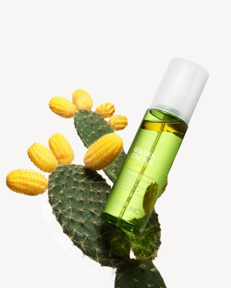 맥스클리닉 ‘골든 선인장 오일 미스트’