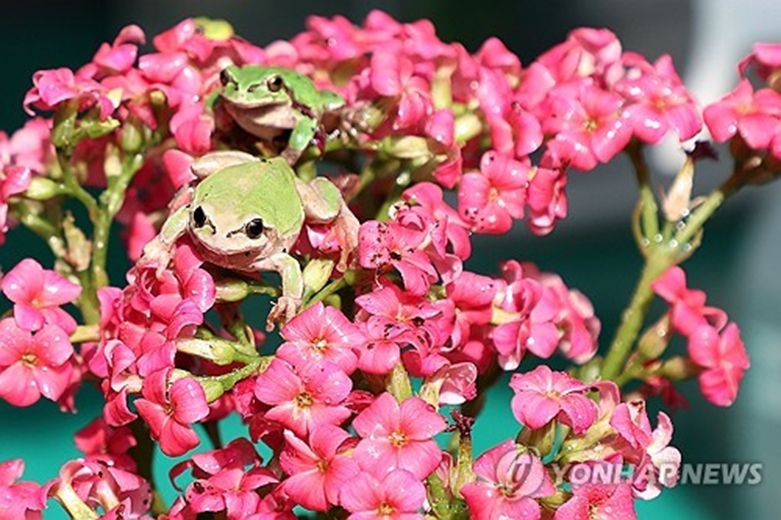 (사진=연합)