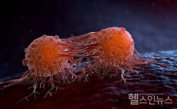 클립아트코리아