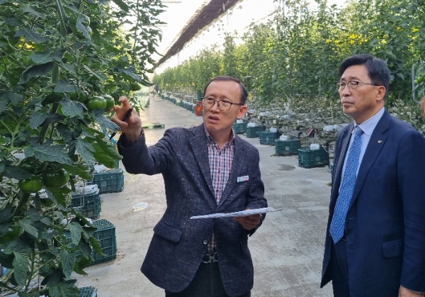 한국농수산식품유통공사 김춘진 사장이 쎄븐팜영농조합법인 현장을 방문해 설명을 듣고 있다. / 사진=농수산식품유통공사 제공