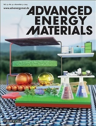전기화학에너지 응용을 위한 2D-COF 의 전자구조 재배치 전략 연구결과 발표