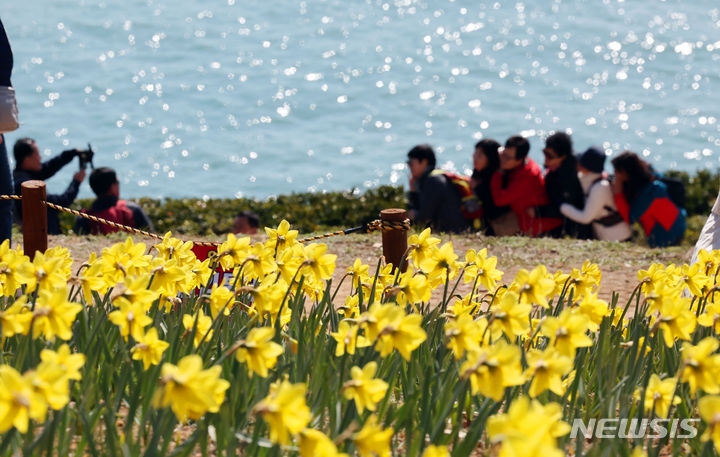 완연한 봄 날씨를 보인 10일 부산 남구 오륙도해맞이공원을 찾은 관광객들이 활짝 핀 수선화와 푸른 바다를 배경으로 기념사진을 찍고 있다.