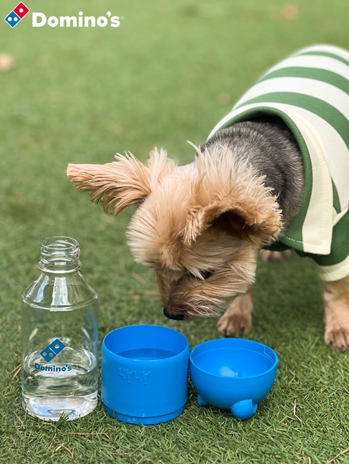 도미노피자, 애견용 물병 선착순 증정 이벤트 진행