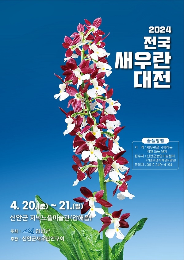 전국 새우란 축제 (사진제공 = 신안군)