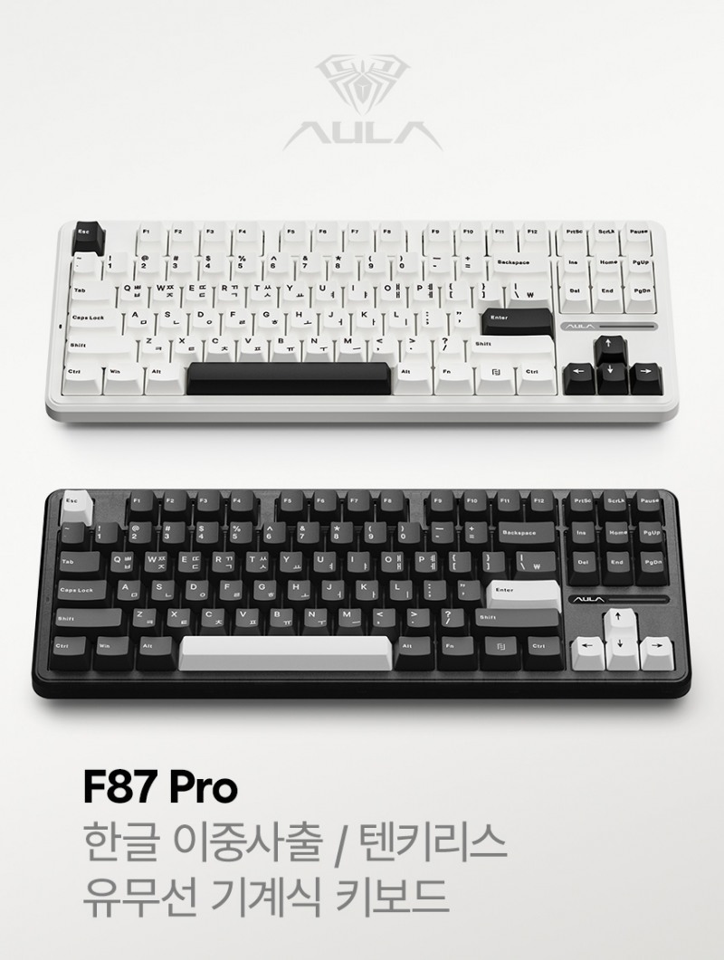 펀키스, 화제의 '독거미 키보드' 신규 스위치 제품군 출시