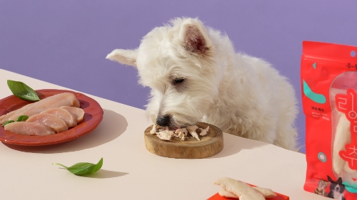 펀엔씨, PB 라인업 확대로 새로운 수익모델 구축