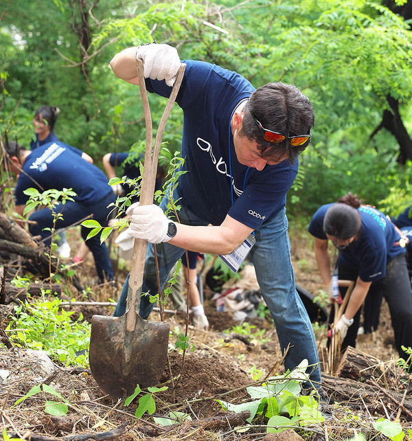 WOP가능성주간봉사활동나무심기