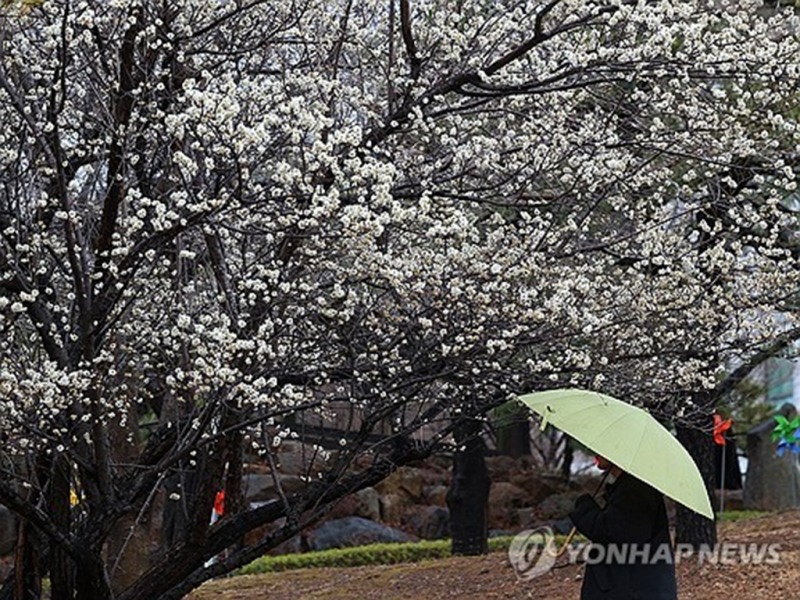 (사진=연합)