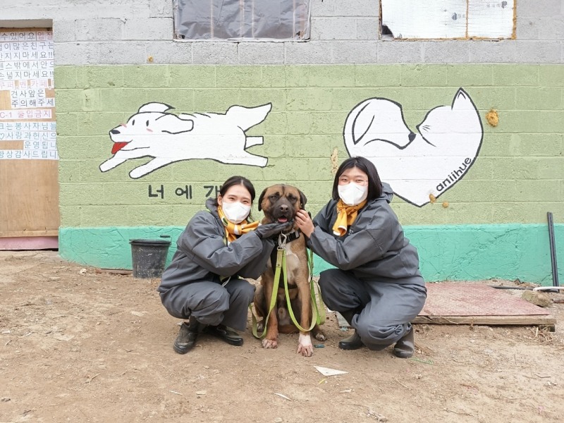 대주펫푸드, 국제 강아지의 날 맞아 사료 2.2톤 기부 및 봉사활동 전개