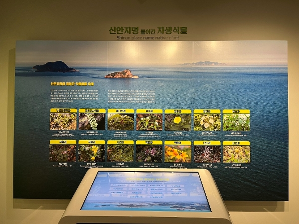 자생식물 / 사진=신안군 제공