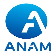 아남전자, 주가 급등…샤오미 EV 출시에 관련주 주목