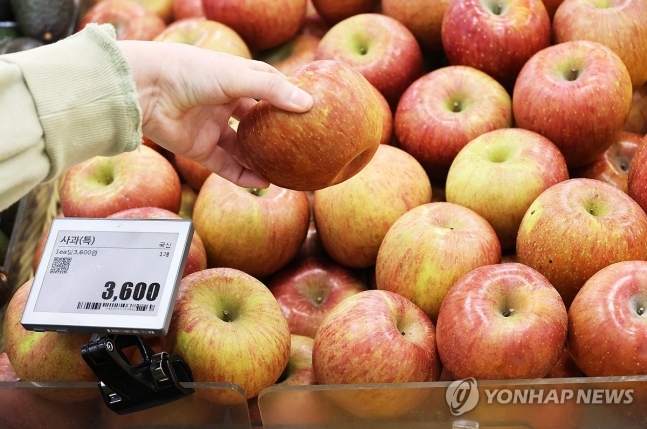 세계 1위 한국 사과값