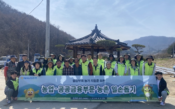 사진=2일 강원도 홍천군 모곡리 농가에서 NH농협은행 농업 공공금융부문 임직원들이 일손돕기 후 기념촬영을 하고 있다.