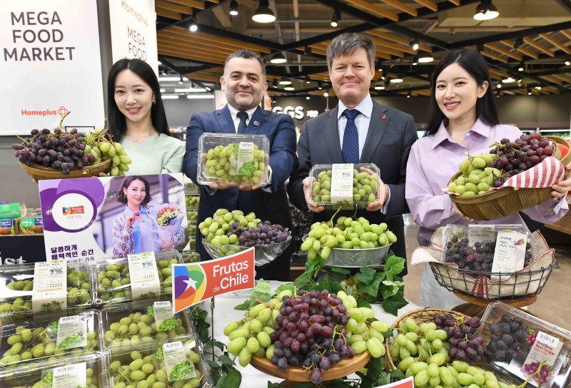 (사진1- 이미지 홈플러스 제공) 4일 서울 강서구 홈플러스 강서점에서 마티아스 프랑케(Mathias Francke) 주한칠레대사(우측에서 두 번째), 호세 미겔 쎄뿔베다 또레스(Jose Miguel Sepulveda Torres) 농무〮상무관(우측에서 세 번째)이 모델들과 함께 ‘칠레 포도’를 선보이고 있다.