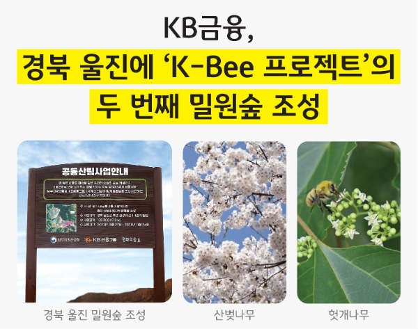 사진=KB금융 제공