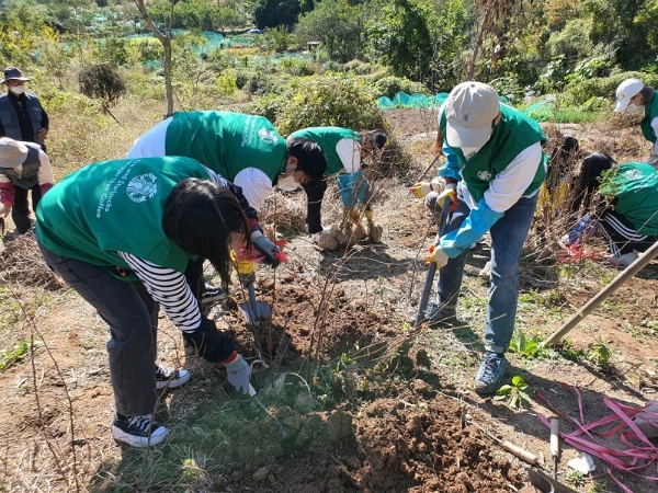 사진=지난 2022년 10월 13일에 진행한 식재 봉사활동 모습