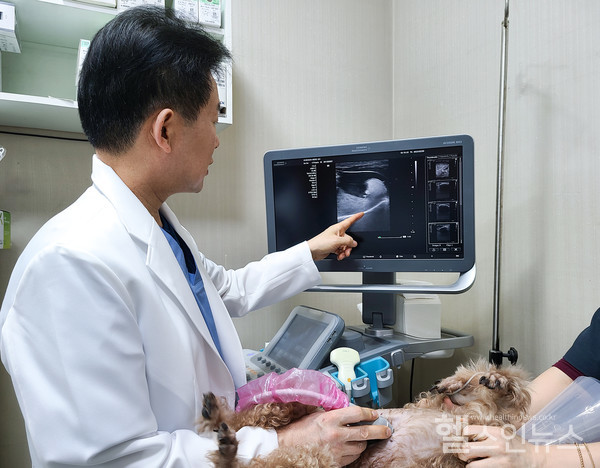 금산헤르쯔동물병원박상준수의사