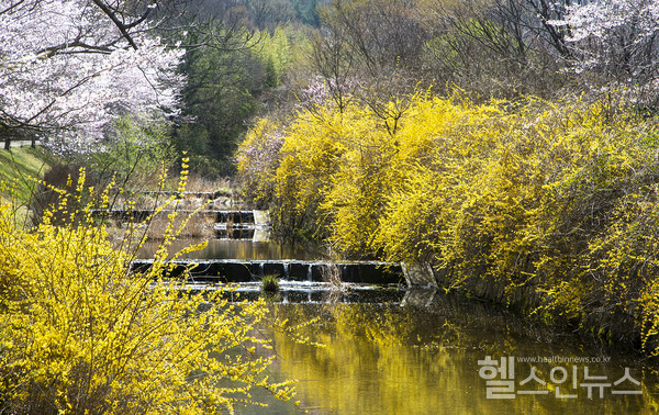 클립아트코리아