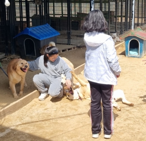 봉사동아리 / 사진=담양군 제공